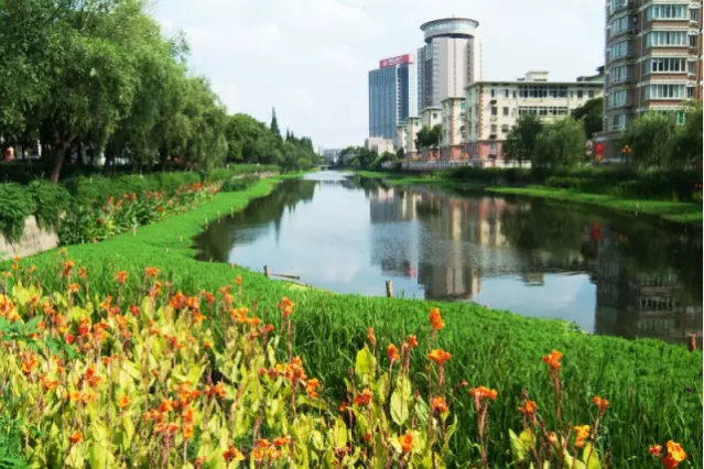 河道景觀設(shè)計：、綠化、綜合治理、生態(tài)修復(fù)及植物選擇