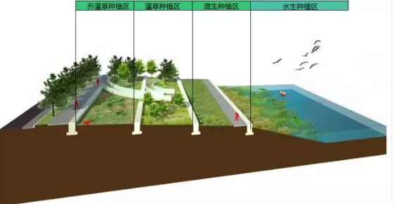 河道景觀設(shè)計：、綠化、綜合治理、生態(tài)修復(fù)及植物選擇