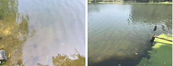 合肥四里河水質(zhì)治理工程