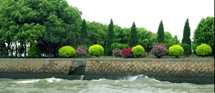 常用水生生態(tài)環(huán)境質(zhì)量改善工程探析