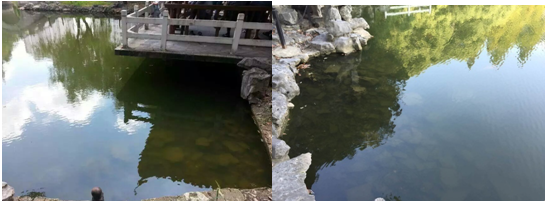【河道整治】工業(yè)生產(chǎn)電鍍工藝廢水處理技術(shù)性研究成果