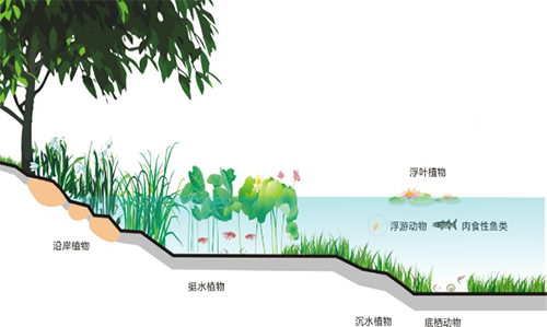 【河道整治】工業(yè)生產(chǎn)電鍍工藝廢水處理技術(shù)性研究成果