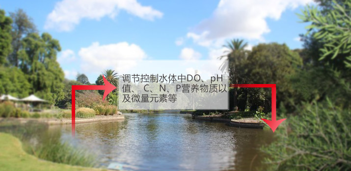 【河道整治】工業(yè)生產(chǎn)電鍍工藝廢水處理技術(shù)性研究成果